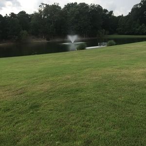 Meet your Posher, Tonya